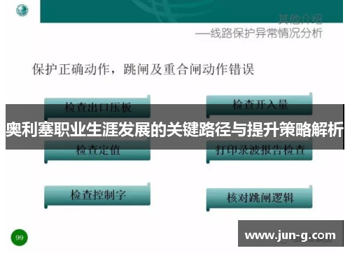 奥利塞职业生涯发展的关键路径与提升策略解析